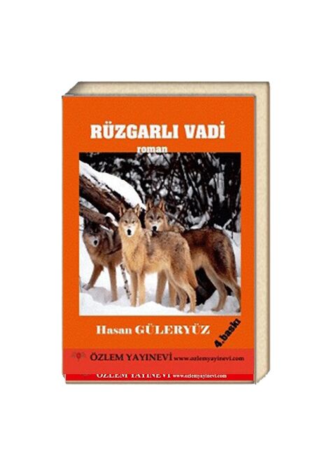 Rüzgarlı Vadi / Hasan Güleryüz